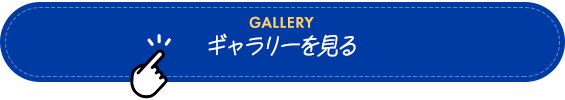bnr_gallery_btn_off