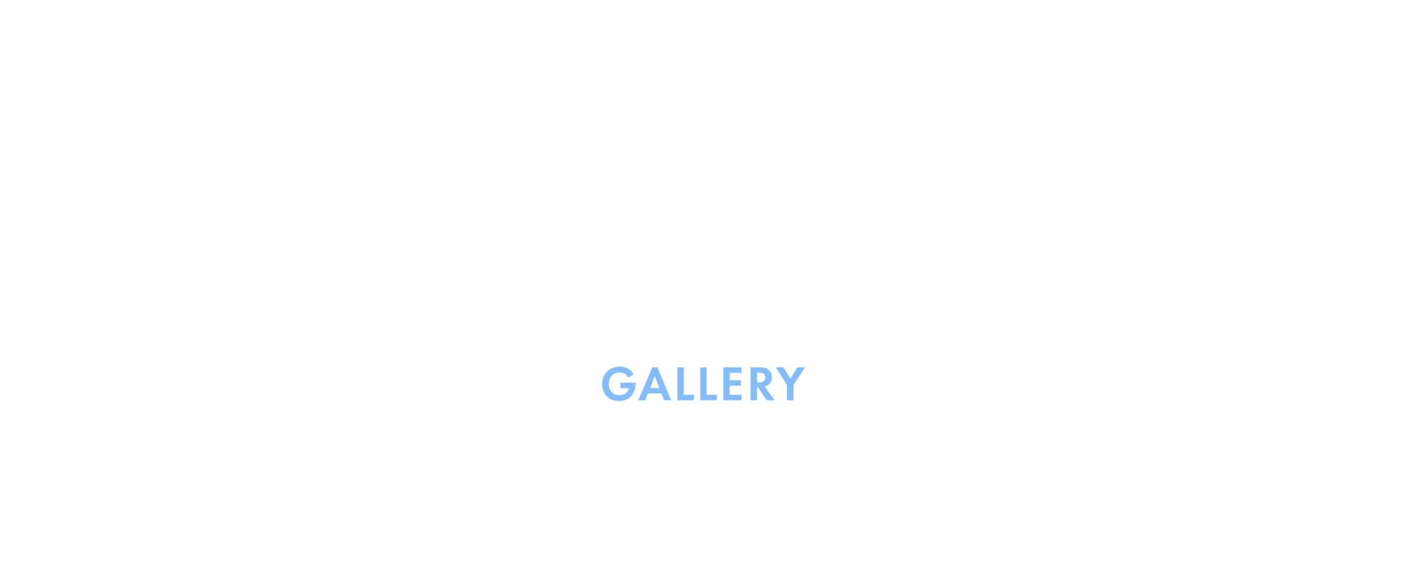 ギャラリー